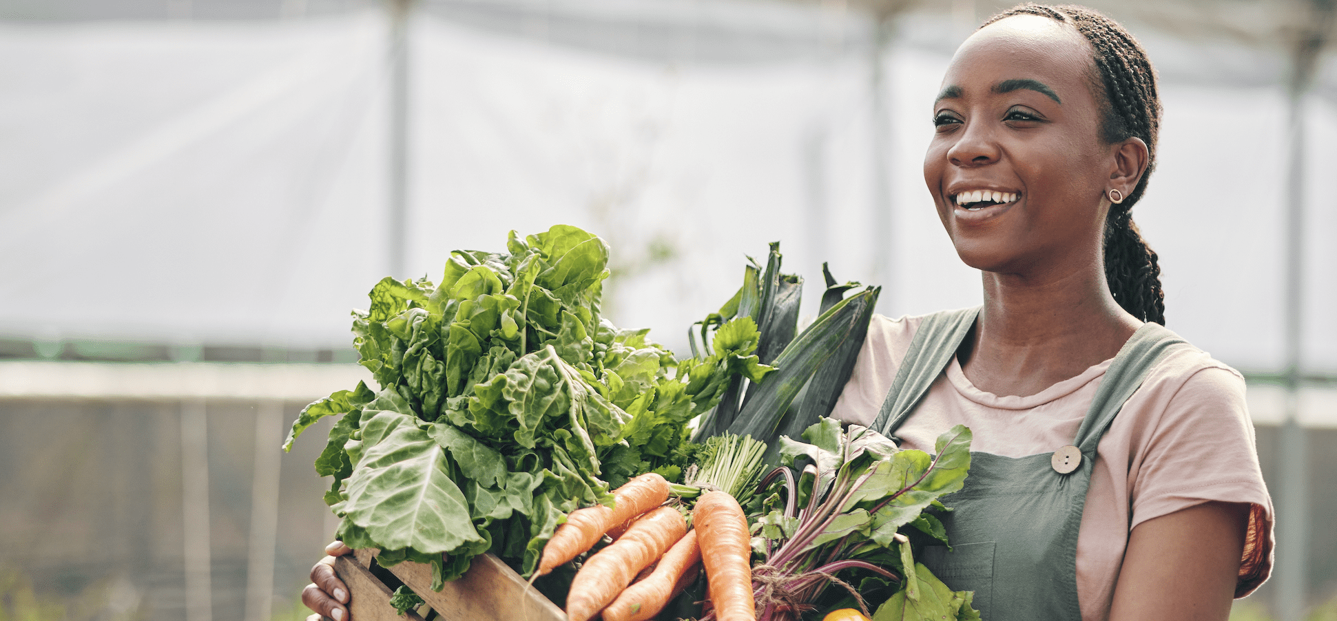 Paniers de légumes africains à Montréal